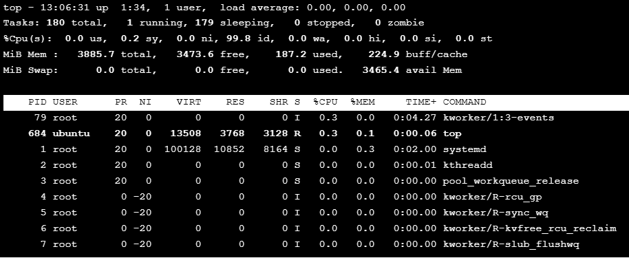 Linux top command system resource monitor showing CPU, memory, and process usage